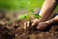 a hand planting tree sapling in fertile soil