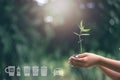 Hand planting trees with technology of renewable resources to reduce pollution. ESG icon concept, environmental, social and Royalty Free Stock Photo