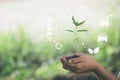 Hand planting trees with technology of renewable resources to reduce pollution. ESG icon concept, environmental, social and Royalty Free Stock Photo