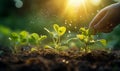 Hand planting young plant with sunlight on green nature background. concept eco earth day. Ecology concept,Generative AI