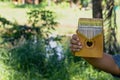 Hand playing kalimba or mbira is an African musical instrument.made from wooden board with metalInstrument in garden