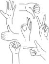 Hand position set. Fist, index finger, thumbs up, victory, thumbs down, okey gestures