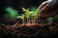 Hand pouring black soil on green bokeh background Planting a small plant on a pile of soil