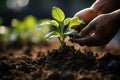 Hand pouring black soil on green bokeh background Planting a small plant on a pile of soil