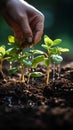 Hand pouring black soil on green bokeh background Planting a small plant on a pile of soil