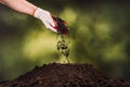 Hand pouring black soil on green plant bokeh background