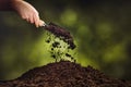 Hand pouring black soil on green plant bokeh background