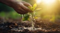 Hand pouring water into a garden bed from a spout dug into the soil, AI-generated. Royalty Free Stock Photo