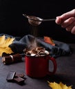 A hand pours cocoa into a red cup with hot chocolate with marshmallow and cinnamon on a dark brown background with autumn  leaves Royalty Free Stock Photo