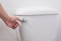 Hand press and flush toilet. Cleaning, Lifestyle and personal hygiene concept Royalty Free Stock Photo