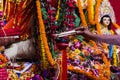 Hand of a priest worshiping hindu god with garland and flower and fire Royalty Free Stock Photo