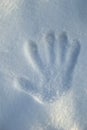 Hand print in snow