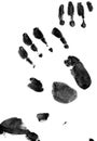 Hand Prints Royalty Free Stock Photo