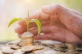 Hand protect money stack with plant growing on coins. saving money coins, Hands that are taking care of trees on coins, concept Royalty Free Stock Photo