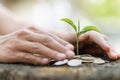 Hand protect money stack with plant growing on coins. saving money coins, Hands that are taking care of trees on coins, concept Royalty Free Stock Photo