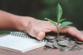 Hand protect money stack with plant growing on coins. saving money coins, Hands that are taking care of trees on coins, concept Royalty Free Stock Photo