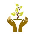 Hand protecting holding a plant vector symbol illustration logo template vector clip art
