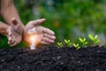 Hand protection light bulb,energy sources for renewable,natural energy Royalty Free Stock Photo