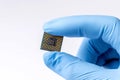 A hand in protective blue gloves holds a computer processor chip against isolated white background. Royalty Free Stock Photo