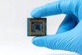 A hand in protective blue gloves holds a computer processor chip against isolated white background. Royalty Free Stock Photo