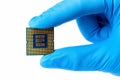 A hand in protective blue gloves holds a computer processor chip against isolated white background. Royalty Free Stock Photo
