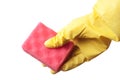 Hand in protective glove holding red sponge Royalty Free Stock Photo