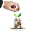 Hand put coin in glass jar with plant glowing, saving money for Future, isolated on white background