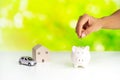 Hand put coins into the piggy bank with green nature background, Saving money for house and car concept Royalty Free Stock Photo