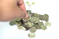 Hand put coins to stack of coins on white background. Royalty Free Stock Photo