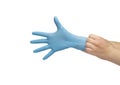 hand puts on blue disposable medical gloves isolated on white background. Royalty Free Stock Photo