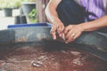 Hand putting coconut coir in plastic bag for grafting plant tree