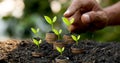 Hand putting coin on coin stack growing graph with green bokeh background, investment concept. tree growing on coin, Business Fina Royalty Free Stock Photo