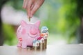 Hand putting coin into piggy bank, Saving money to buy a home, Royalty Free Stock Photo