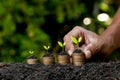 Hand putting coin on coin stack growing graph with green bokeh background,investment concept.tree growing on coin,Business Finance Royalty Free Stock Photo