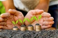 Hand putting coin on coin stack growing graph with green bokeh background,investment concept.tree growing on coin,Business Finance Royalty Free Stock Photo