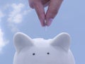 Hand putting coin to white piggy bank to show saving money Royalty Free Stock Photo