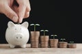 Hand putting a coin in the white piggy bank with coin stacked and tree growing up on it, concept for business financial Royalty Free Stock Photo