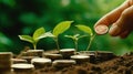 Hand putting coins with plant growing on coin stack over green blurred background. Business finance strategy, money Royalty Free Stock Photo