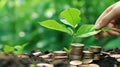 Hand putting coins with plant growing on coin stack over green blurred background. Business finance strategy, money