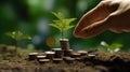 Hand putting coins with plant growing on coin stack over green blurred background. Business finance strategy, money