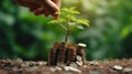 Hand putting coins with plant growing on coin stack over green blurred background. Business finance strategy, money Royalty Free Stock Photo