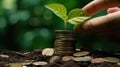Hand putting coins with plant growing on coin stack over green blurred background. Business finance strategy, money