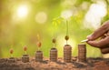 Hand putting coins in stack and young tree sprout on green blur background. Money growing, Finance or Savings concept Royalty Free Stock Photo