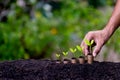 Hand putting money coins like growing graph Royalty Free Stock Photo