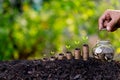 Hand putting money coins like growing graph,plant sprouting from the ground with green  background Royalty Free Stock Photo