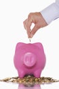 Hand Putting Money In Overflowing Piggy Bank Royalty Free Stock Photo