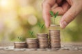 Hand putting stack coins for growing with sun light bokeh background and tree growing on coin. Royalty Free Stock Photo