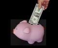 Hand putting US One Dollar bill into a pink piggy bank Royalty Free Stock Photo