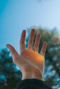 The hand is raised up against the background of blue sky and trees.