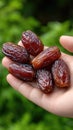 Hand reaches for dates in a bowl, capturing a moment of togetherness during a festive iftar dinner in Ramadan Royalty Free Stock Photo